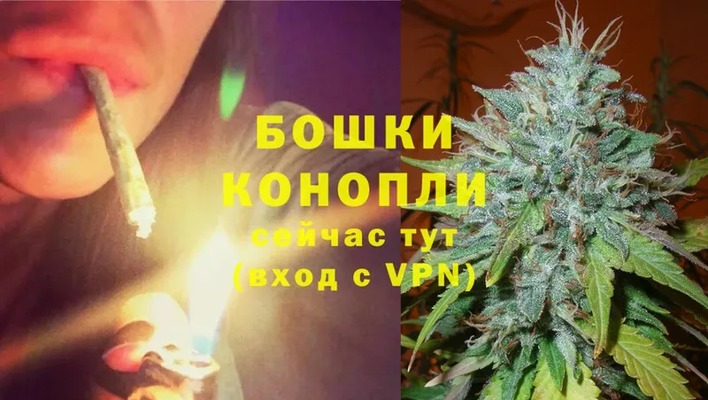 Конопля LSD WEED  Белая Холуница 